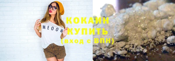 хмурый Арсеньев
