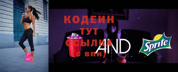 хмурый Арсеньев