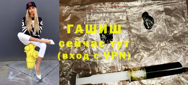 хмурый Арсеньев