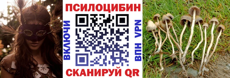 Галлюциногенные грибы Cubensis  Купить закладки  Катайск 